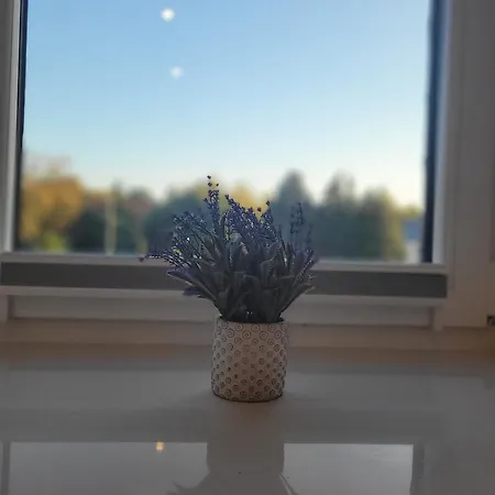 Hugo Boss Appartement Zabrze