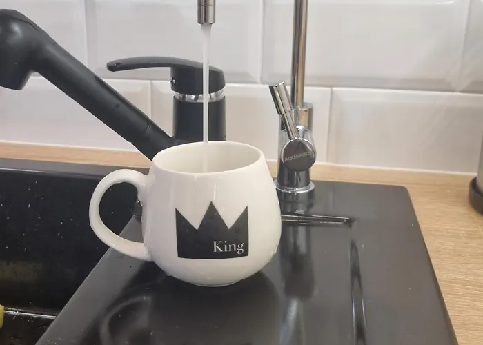 Hugo Boss * זברזה