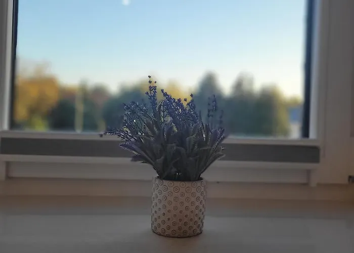 Hugo Boss דירה זברזה